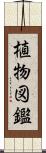 植物図鑑 Scroll