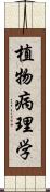 植物病理学 Scroll