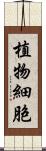 植物細胞 Scroll