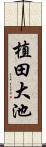 植田大池 Scroll