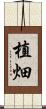 植畑 Scroll