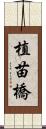 植苗橋 Scroll