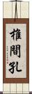 椎間孔 Scroll