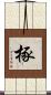 椓 Scroll