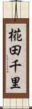 椛田千里 Scroll