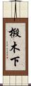 椴木下 Scroll