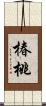 椿桃 Scroll