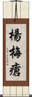 楊梅瘡 Scroll