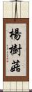 楊樹菇 Scroll