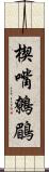 楔嘴鷯鶥 Scroll