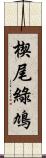 楔尾綠鳩 Scroll