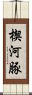 楔河豚 Scroll