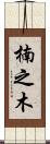 楠之木 Scroll