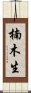 楠木生 Scroll
