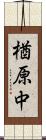 楢原中 Scroll