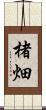 楮畑 Scroll
