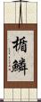 楯鱗 Scroll