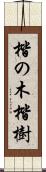 楷の木 Scroll