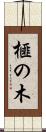 榧の木 Scroll
