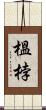榲桲 Scroll