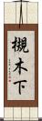 槻木下 Scroll