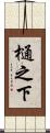 樋之下 Scroll
