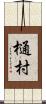 樋村 Scroll