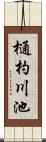 樋杓川池 Scroll