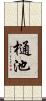 樋池 Scroll