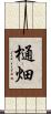 樋畑 Scroll