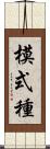 模式種 Scroll