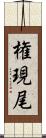 権現尾 Scroll