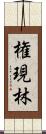 権現林 Scroll