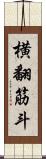 横翻筋斗 Scroll