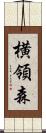 横領森 Scroll