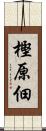 樫原佃 Scroll