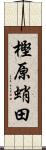 樫原蛸田 Scroll