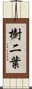 樹二葉 Scroll