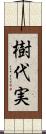 樹代実 Scroll