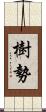 樹勢 Scroll