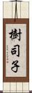 樹司子 Scroll