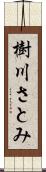 樹川さとみ Scroll