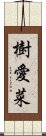 樹愛菜 Scroll