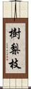 樹梨枝 Scroll