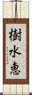 樹水恵 Scroll