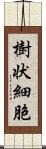 樹状細胞 Scroll