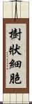 樹狀細胞 Scroll