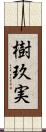 樹玖実 Scroll