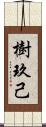 樹玖己 Scroll