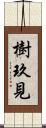 樹玖見 Scroll